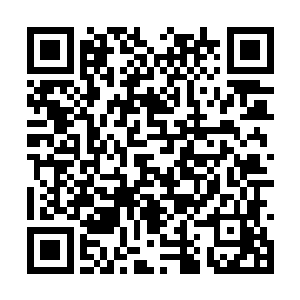 这鼍洁现在就是仗着猴子和西海龙宫多少有些渊源二维码生成