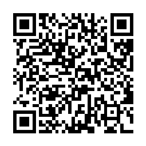 这10%的力量并不是随便吸收几个强者就能填补回来的二维码生成