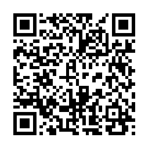 进一步的验证了那传说中大闹十三水族的魔修疯子二维码生成