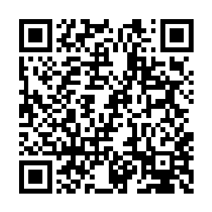 进了主屋红苕便拍着胸口夸张的叹着气对刘萱道二维码生成