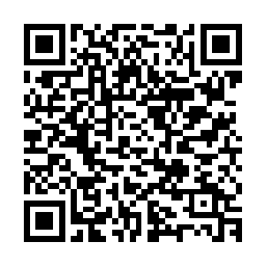 进入十多二十米内密林处原本安曼的小屋已经变成一栋木头建筑二维码生成