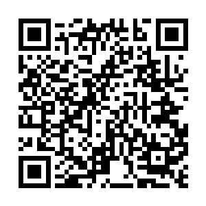 进入后宫的苗毅直接在观景崖阁的石桌旁坐了下来二维码生成