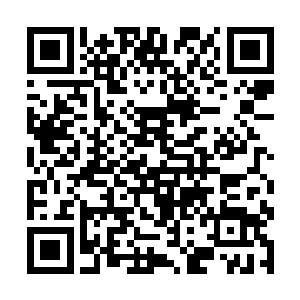 进入四季之地的武者都经过各大宗门强者的亲自检查二维码生成