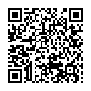 进入很快便自动的被吴岩切断了它们与外间的联系二维码生成