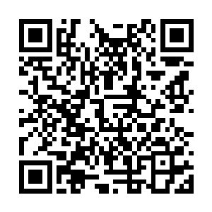 进入拉斯维加斯的赌场是夏天这次来到这里的目的二维码生成