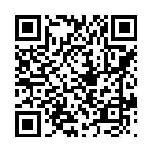 进入竹林的人都没有任何一个走出来过二维码生成