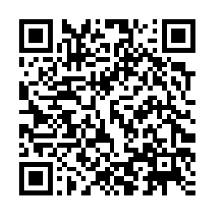 进去后他们便发现这里的瘴气比之方才在外面感受到的还要浓烈二维码生成