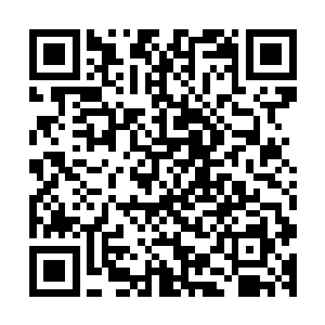 进去第一眼就看见一个皮包骨头只穿着一根裤衩的人倒在一旁二维码生成