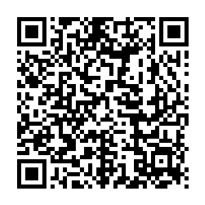 进攻太古遗迹的大多是盘古文明最精锐的勇士和最残忍的杀戮机器二维码生成