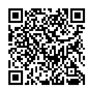 进球之后的荣光想跑向曼城球迷们所在的看台庆祝进球二维码生成