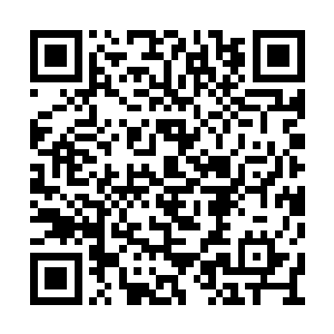 进而利用五大本源力量来控制庇护所世界的基石二维码生成