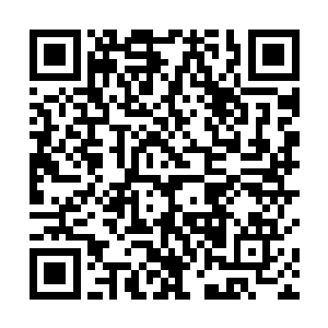 进行着最为深切的接触……只是让人看着比较恶心的是二维码生成