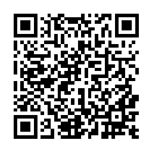 进迪士尼当太子……这些信息先后传递进珍妮的大脑里二维码生成