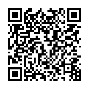 进阶十级和十一级张铁获得了两次力量强化的能力二维码生成