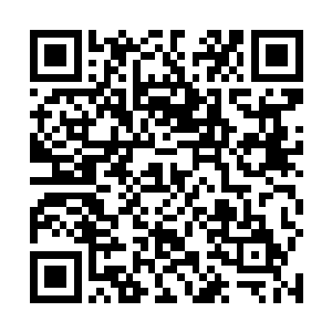 远在巨鼎山守护的青山阁初期人尊也不得不回到青鼎山二维码生成