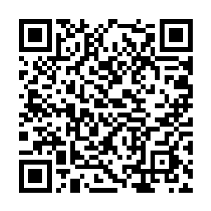 远处 陆逊瞳孔一缩 一眼就认出了那符篆的來历二维码生成