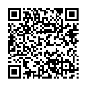 远处一排同样带着反光条的梭形船也离开了那边的一条货轮二维码生成