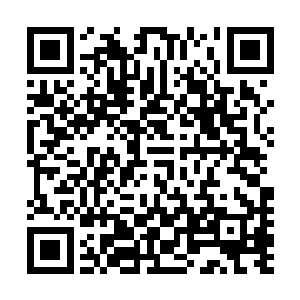 远处二三十米外的城堡大门突然发出一片咯吱咯吱的摩动声二维码生成