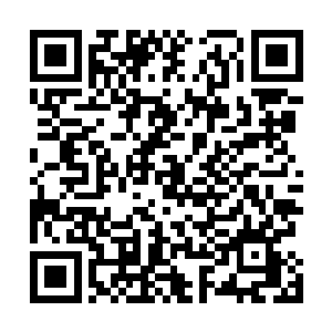 远处拿着望远镜旁观战局的罗楼皱着眉头望着李成功大叫二维码生成