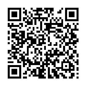 远处无数的藤子一下子就缠住了元辰夕的那些藤子二维码生成