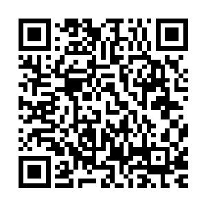 远处更是有着一道道强大的魔识犹如千万道探照灯般飞扫过来二维码生成