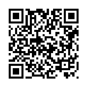 远处有一群群的鸟在森林上空盘旋二维码生成