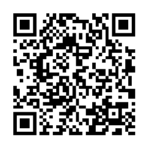 远处正在想着自己接下来要为叶然讲解着什么课程的白菜二维码生成