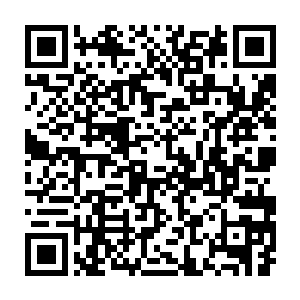 远处的人看着父子两个人似乎是在这里敞开书房的窗户在对坐聊天二维码生成