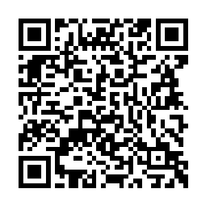 远处的小金龙慢慢的收起了自己身体周围的光线二维码生成