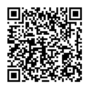 远处的居民住宅区传来的鞭炮和礼花的爆炸声让整个街道更显有些寂寥二维码生成