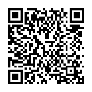 远处的许麒他们见到那个蛇妖被许紫烟打进了山洞二维码生成