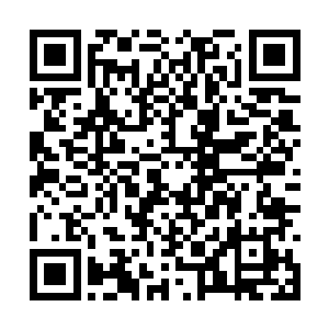 远处的鸟兽被这突然的动静吓得朝更远的地方离去二维码生成