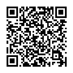 远处近百里的海域之中出现了一片密密麻麻的妖兽二维码生成