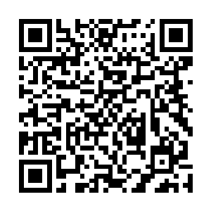 远离深山野林居住的奴隶主们对于兽皮的需求量也会增大二维码生成