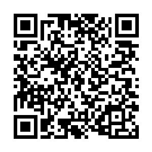 远远几乎要将近乎四分之一的神王塔第十层空间笼罩二维码生成