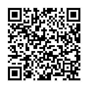 远远地便看到了许紫烟和燕山魂并肩而立的背影二维码生成