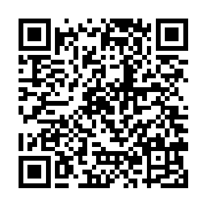 远远地意外看到纭帧带着刚出生的孩子匆匆忙忙出海二维码生成