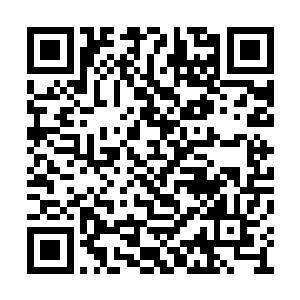 远远就向草坡上两个身影正在一前一后地追逐着二维码生成