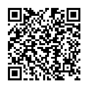 远远感应到的苏孟与目光直视的苏孟竟然有着极大不同二维码生成