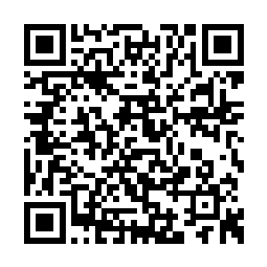 远远无法和吕奉先这个风属性的九阶大剑师相比二维码生成