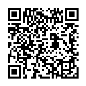远远的便能够闻到空气中飘散着一股股沁人心脾的药香二维码生成