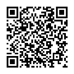 远远的金在珉就看到了一辆宝马车打着车灯停在湖旁边二维码生成