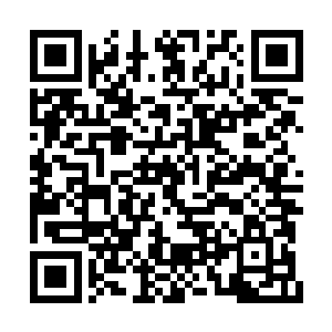 远远超出了其他那种广泛撒网式的招商引资效率二维码生成