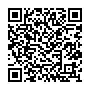远远逸走的玄冰俏脸上露出一个温柔至极的笑容二维码生成