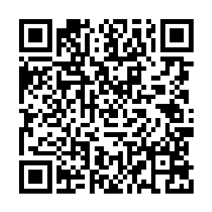 远鹭师伯想让她快点成长的心思可不必宋媚双差二维码生成