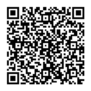 连一个宗师级高手都拿不出来……不然也不会被这些扶桑忍者像是猪狗一样肆意的猎杀了二维码生成