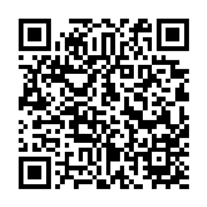 连一个小小的s级境界的弱者居然也可以发出如此强横的威力二维码生成