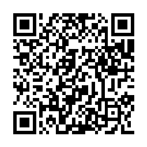 连一些原本左相党的官吏都感到计知白这次过了二维码生成