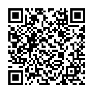 连一向只爱练武的老九也成长为少年慕艾的年纪了二维码生成