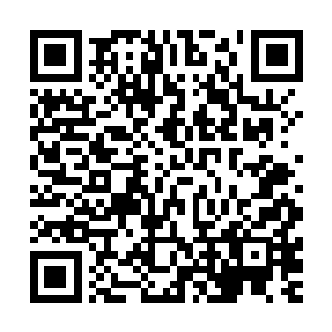 连一向理直气壮的荀老先生此时也后知后觉地发觉了问题所在二维码生成